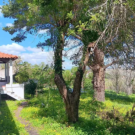 Vakantiehuis Quintinha A 35min De Lisboa *
